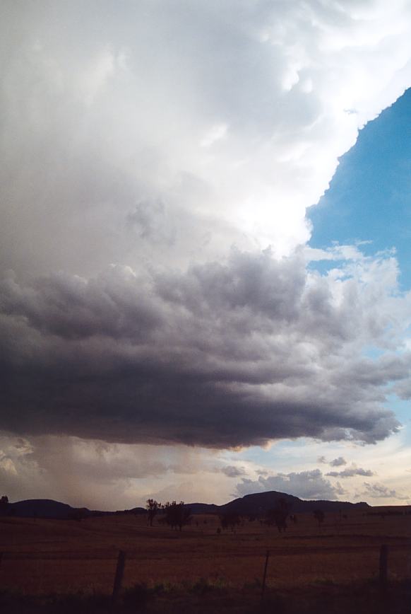 cumulonimbus thunderstorm_base : Jerrys Plains, NSW   13 October 2002