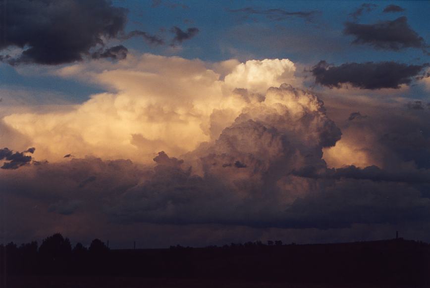 thunderstorm cumulonimbus_calvus : Jerrys Plains, NSW   13 October 2002