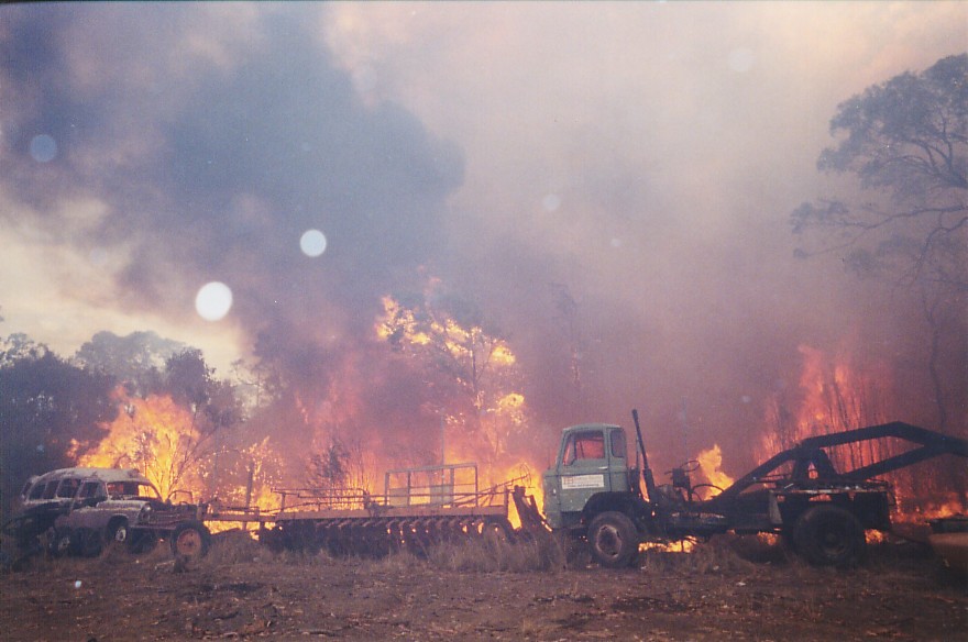 contributions received : Londonderry fires, NSW<BR>Photo by Brett Vilnis   26 November 2002