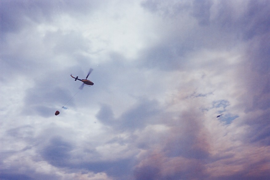 contributions received : Londonderry fires, NSW<BR>Photo by Brett Vilnis   26 November 2002