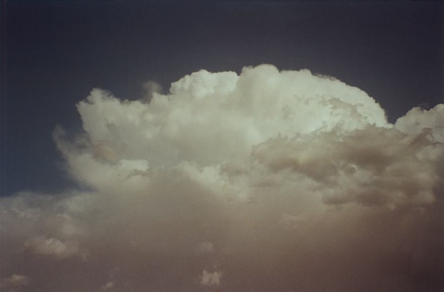 contributions received : near Gundagai, NSW<BR>Photo by John Sweatman   26 November 2002