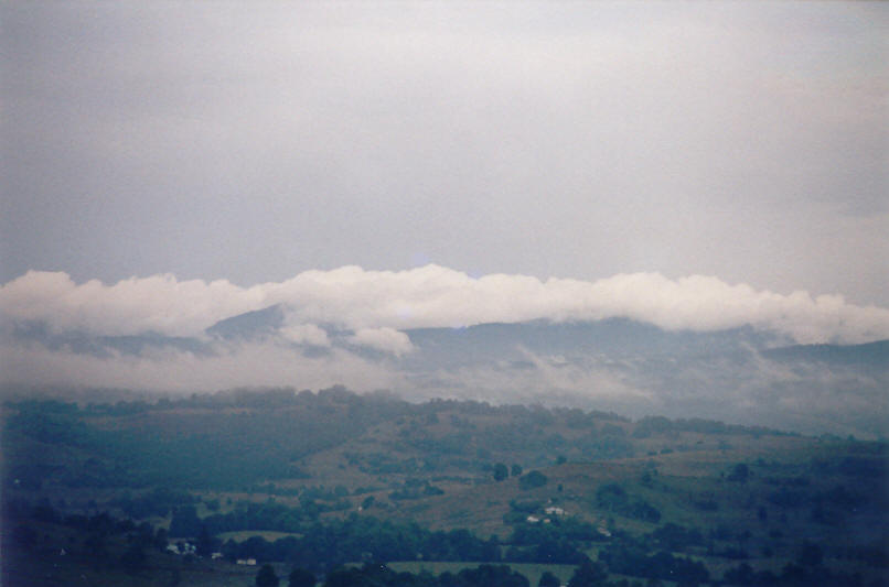 stratus stratus_cloud : McLeans Ridges, NSW   28 November 2002