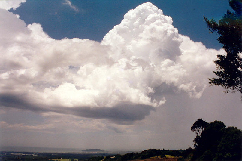 favourites michael_bath : Clunes, NSW   30 November 2002