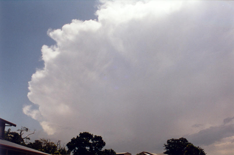 anvil thunderstorm_anvils : McLeans Ridges, NSW   3 December 2002
