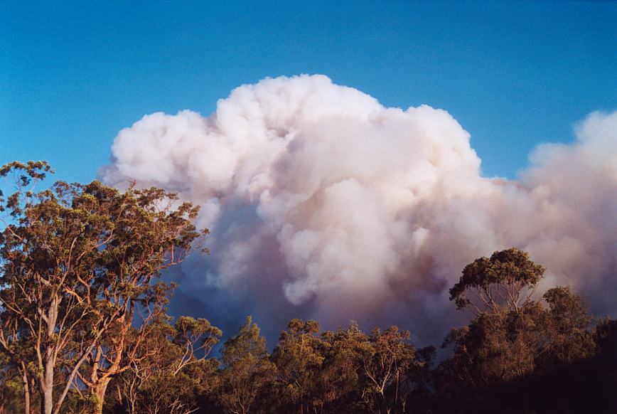 bushfire wild_fire : further N of Glenorie, NSW   4 December 2002