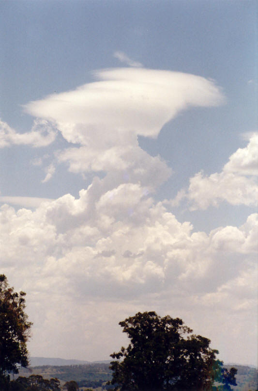 pileus pileus_cap_cloud : McLeans Ridges, NSW   4 December 2002