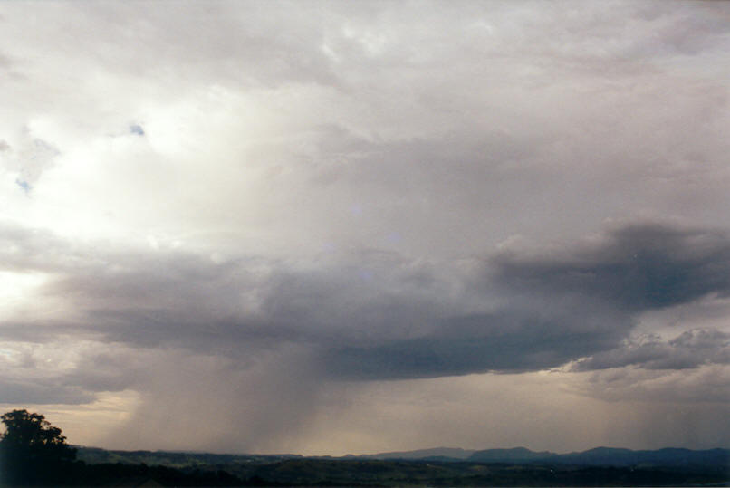 cumulonimbus thunderstorm_base : McLeans Ridges, NSW   4 December 2002