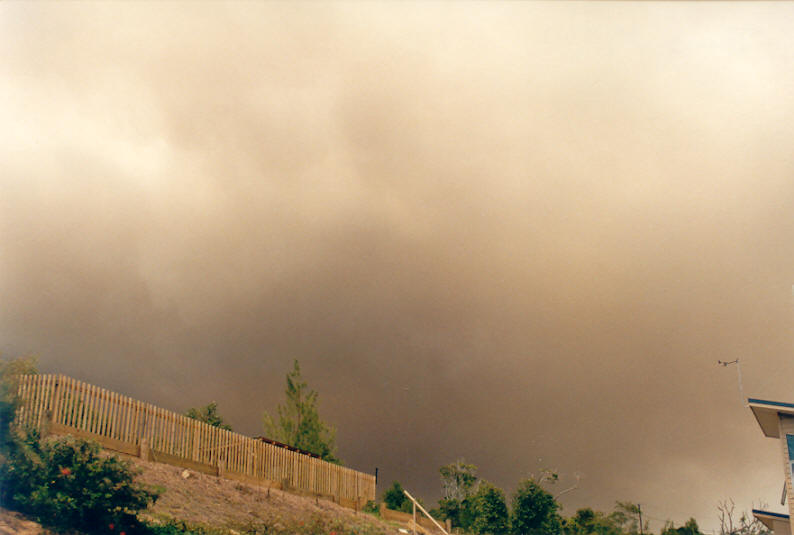 bushfire wild_fire : McLeans Ridges, NSW   19 December 2002