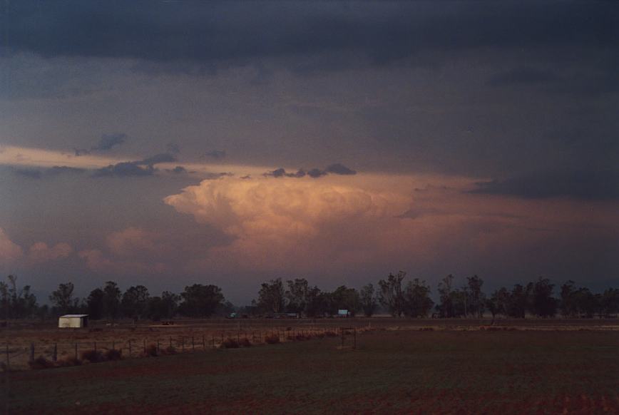 cumulonimbus supercell_thunderstorm : Boggabri, NSW   23 December 2002