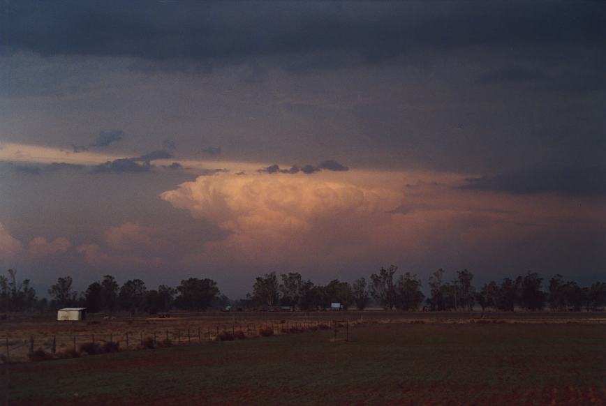 cumulonimbus thunderstorm_base : Boggabri, NSW   23 December 2002