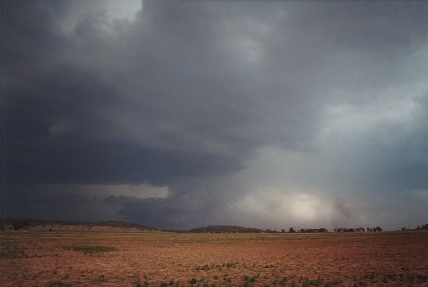 cumulonimbus supercell_thunderstorm : N of Boggabri, NSW   23 December 2002