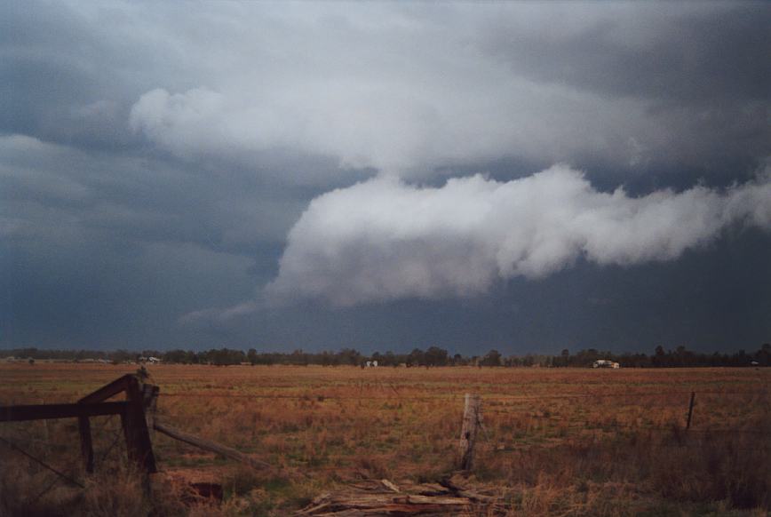 shelfcloud shelf_cloud : Narrabri, NSW   23 December 2002