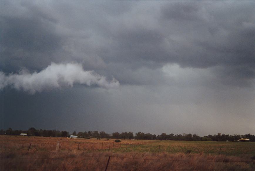 cumulonimbus supercell_thunderstorm : Narrabri, NSW   23 December 2002