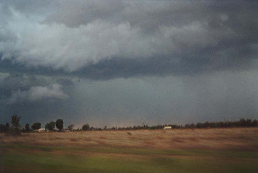 cumulonimbus thunderstorm_base : Narrabri, NSW   23 December 2002