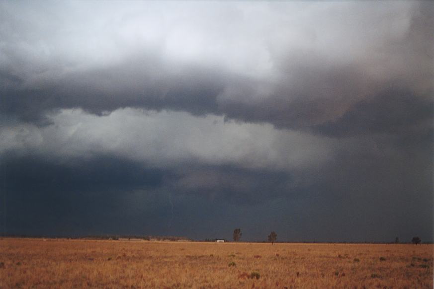 wallcloud thunderstorm_wall_cloud : Narrabri, NSW   23 December 2002