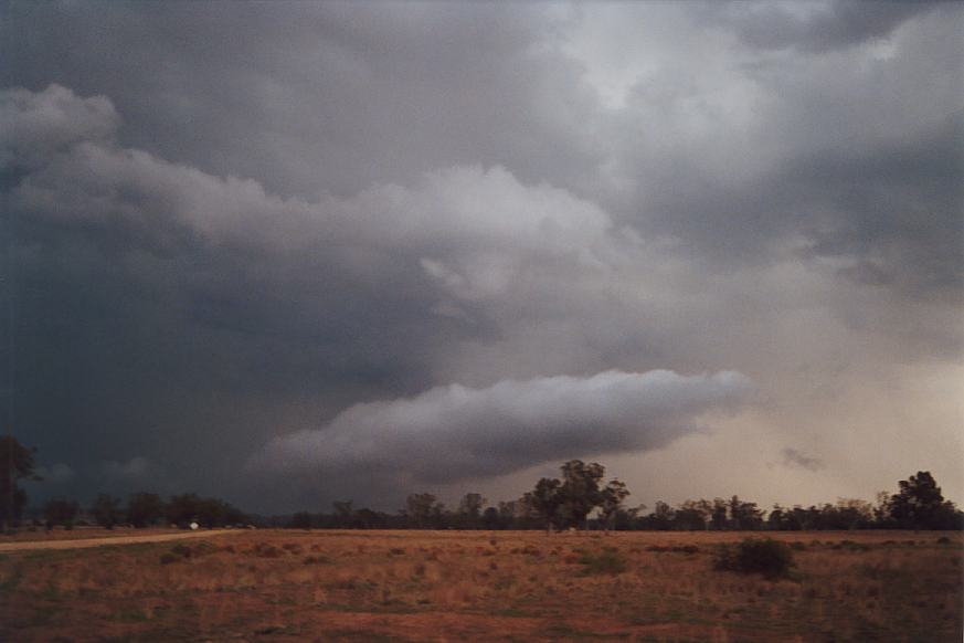 cumulonimbus supercell_thunderstorm : E of Narrabri, NSW   23 December 2002