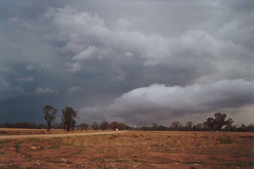 cumulonimbus thunderstorm_base : E of Narrabri, NSW   23 December 2002
