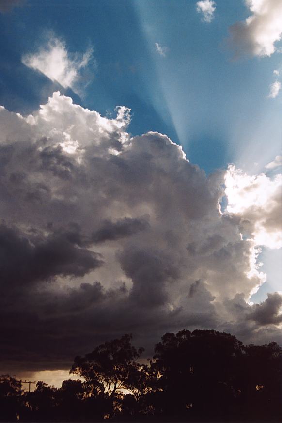 halosundog halo_sundog_crepuscular_rays : N of Inverell, NSW   24 December 2002