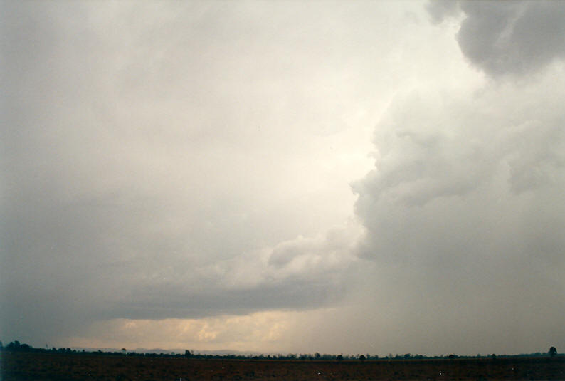 cumulonimbus thunderstorm_base : McLeans Ridges, NSW   24 December 2002