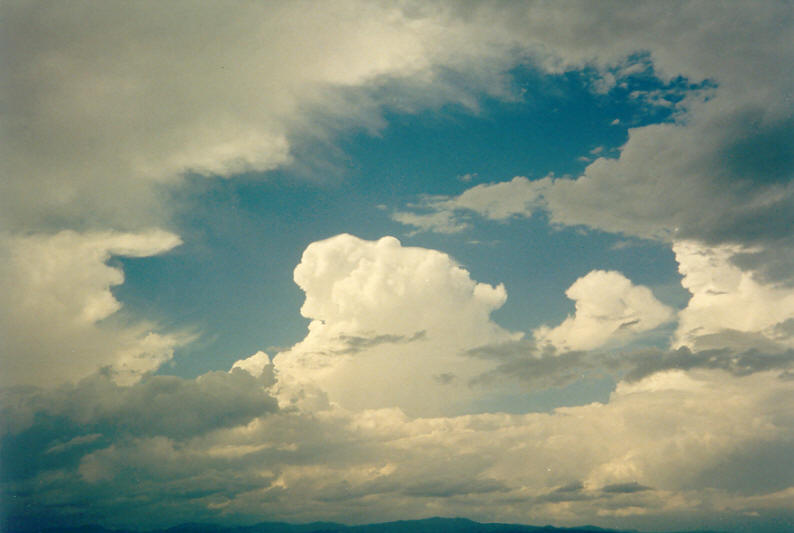 pileus pileus_cap_cloud : McLeans Ridges, NSW   24 December 2002