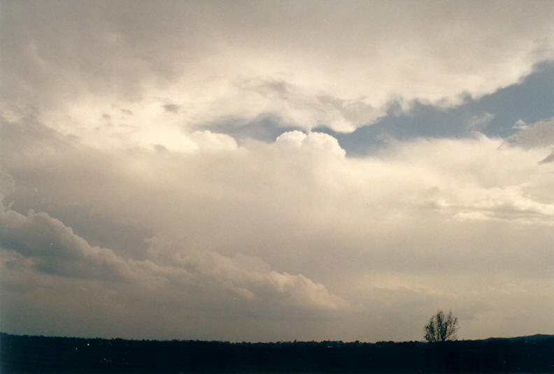 thunderstorm cumulonimbus_calvus : McLeans Ridges, NSW   24 December 2002