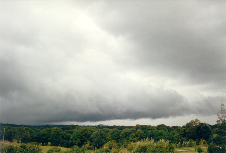 cumulonimbus thunderstorm_base : McLeans Ridges, NSW   26 December 2002