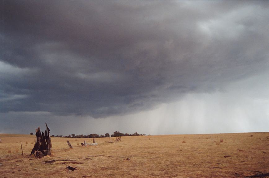 cumulonimbus thunderstorm_base : Orange, NSW   28 December 2002
