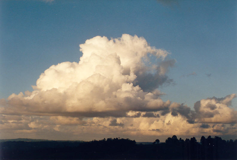 cumulus congestus : McLeans Ridges, NSW   28 December 2002
