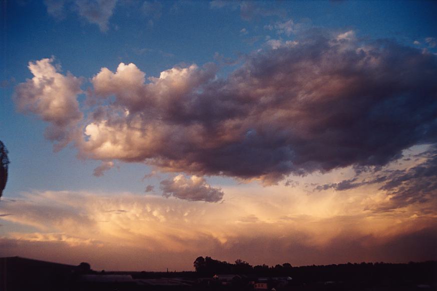 contributions received : Schofields, NSW<BR>Photo by Geoffrey Thurtell   7 January 2003