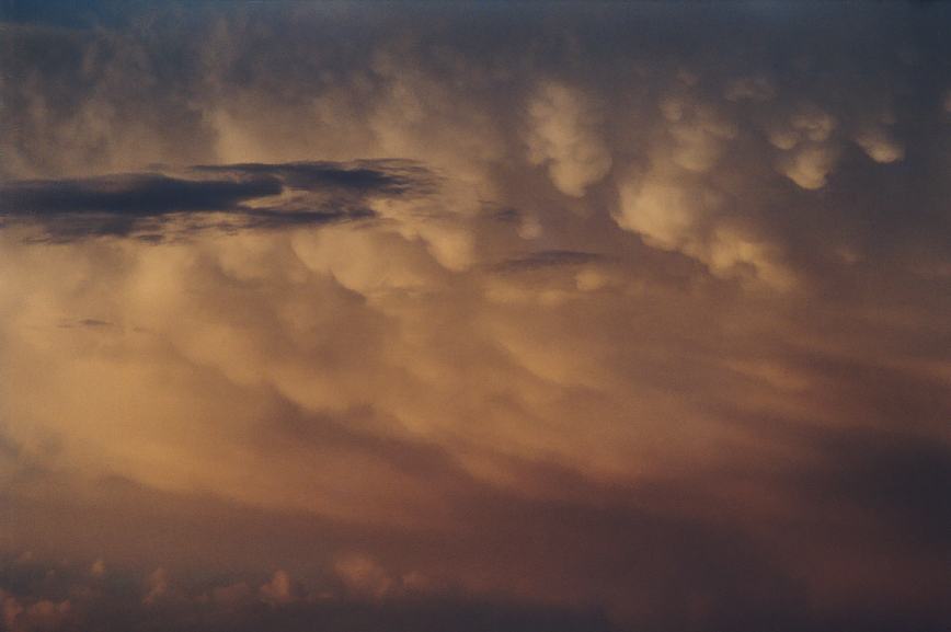 mammatus mammatus_cloud : Schofields, NSW   7 January 2003