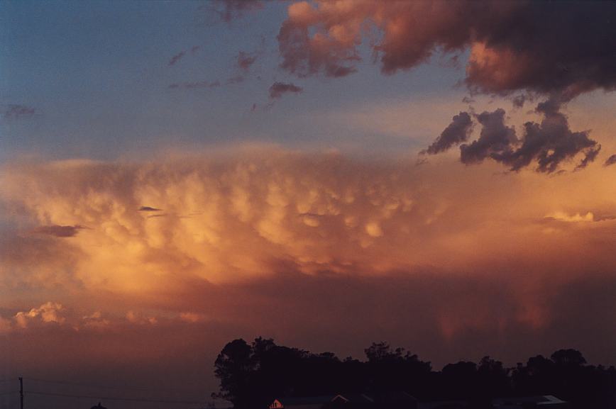 mammatus mammatus_cloud : Schofields, NSW   7 January 2003