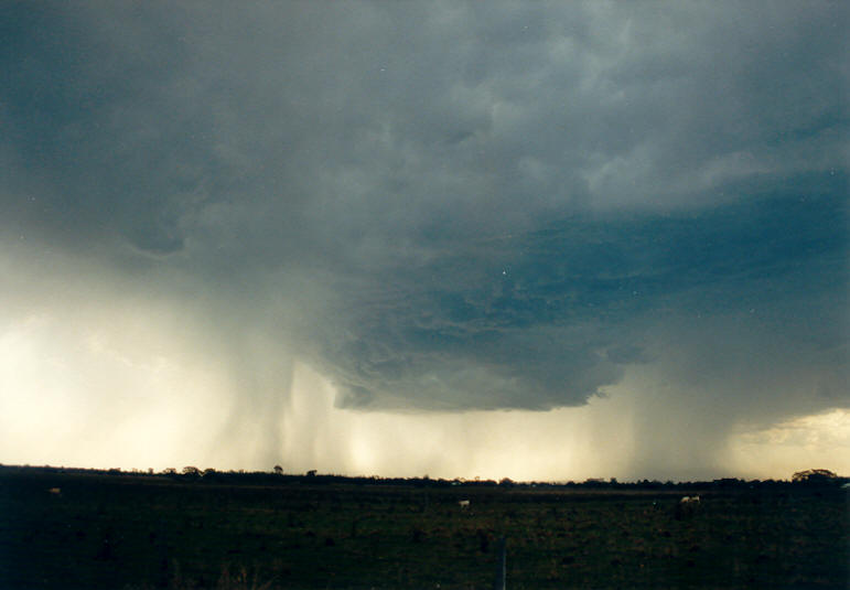 cumulonimbus thunderstorm_base : Parrots Nest, NSW   8 January 2003