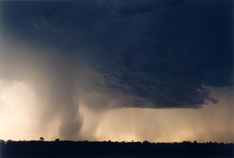 microburst micro_burst : Parrots Nest, NSW   8 January 2003