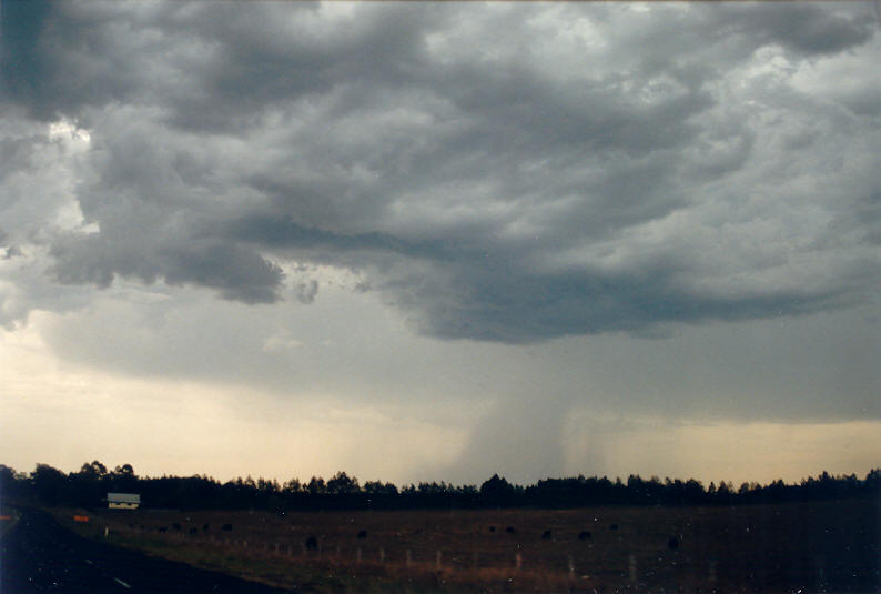 cumulonimbus thunderstorm_base : Kyogle, NSW   19 January 2003