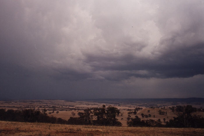 contributions received : Bathurst, NSW<BR>Photo by Jeff Brislane   8 February 2003