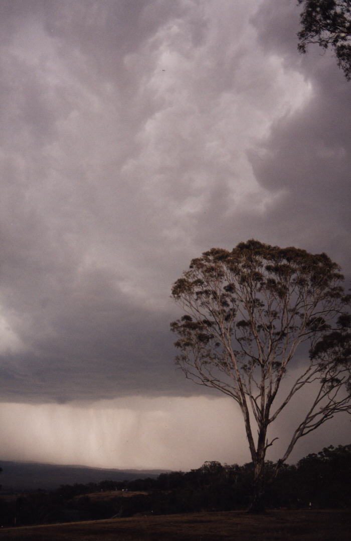 contributions received : Bathurst, NSW<BR>Photo by Jeff Brislane   8 February 2003