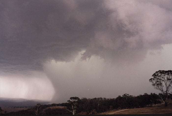 contributions received : Bathurst, NSW<BR>Photo by Jeff Brislane   8 February 2003