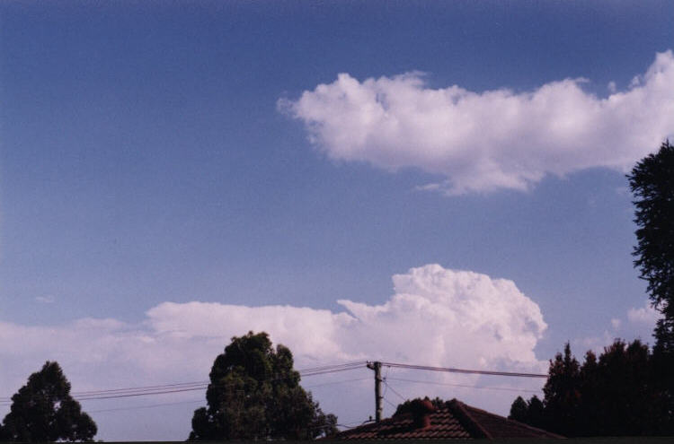 contributions received : Emu Plains, NSW<BR>Photo by Jeff Brislane   12 February 2003