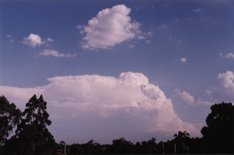 contributions received : Emu Plains, NSW<BR>Photo by Jeff Brislane   12 February 2003