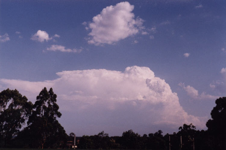 contributions received : Emu Plains, NSW<BR>Photo by Jeff Brislane   12 February 2003