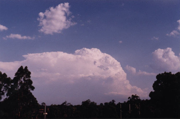 contributions received : Emu Plains, NSW<BR>Photo by Jeff Brislane   12 February 2003