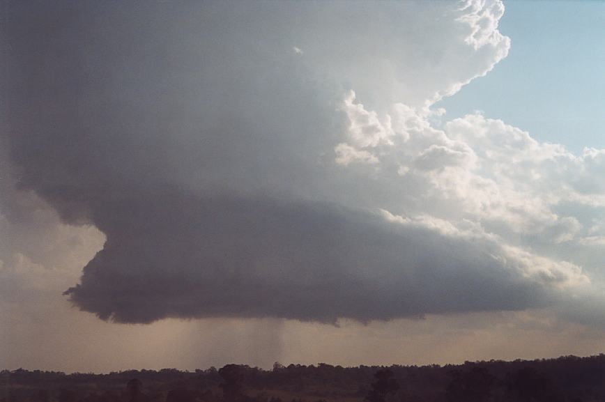 cumulonimbus supercell_thunderstorm : Camden, NSW   12 February 2003