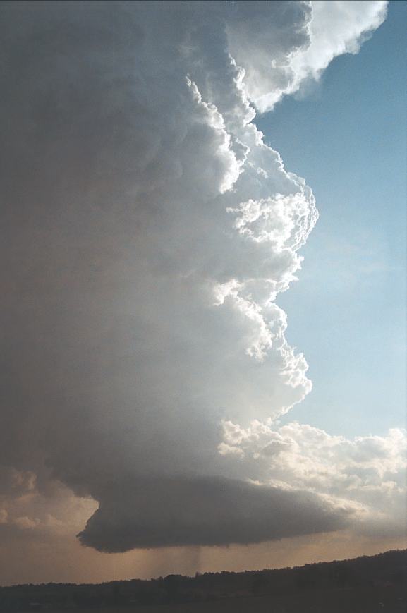 wallcloud thunderstorm_wall_cloud : Camden, NSW   12 February 2003