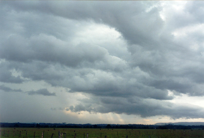 cumulus mediocris : N of Casino, NSW   13 February 2003