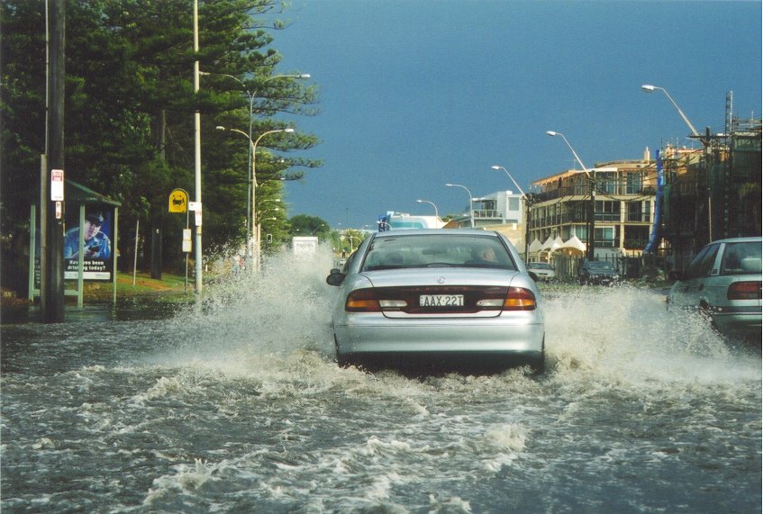 contributions received : Northern Beaches, NSW<BR>Photo by Judy Mayo   10 March 2003