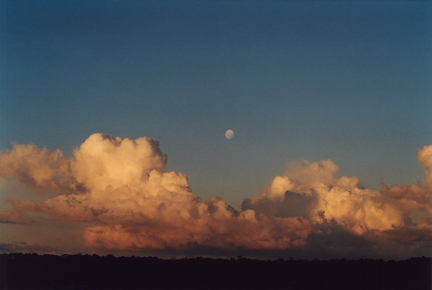 cumulus congestus : Schofields, NSW   16 March 2003