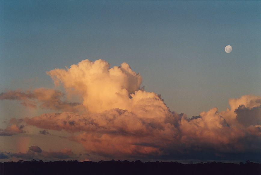 cumulus congestus : Schofields, NSW   16 March 2003