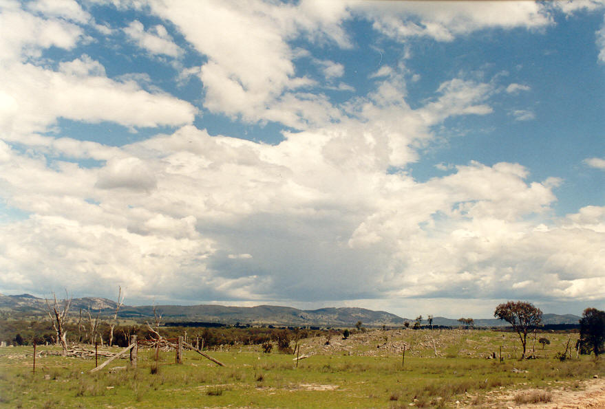 cumulus congestus : Tenterfield, NSW   16 March 2003