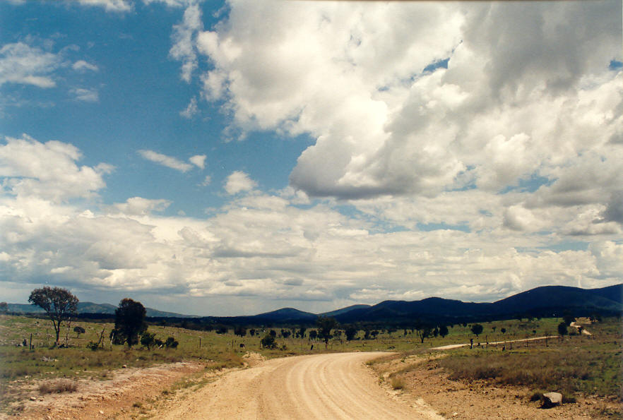 cumulus mediocris : Tenterfield, NSW   16 March 2003