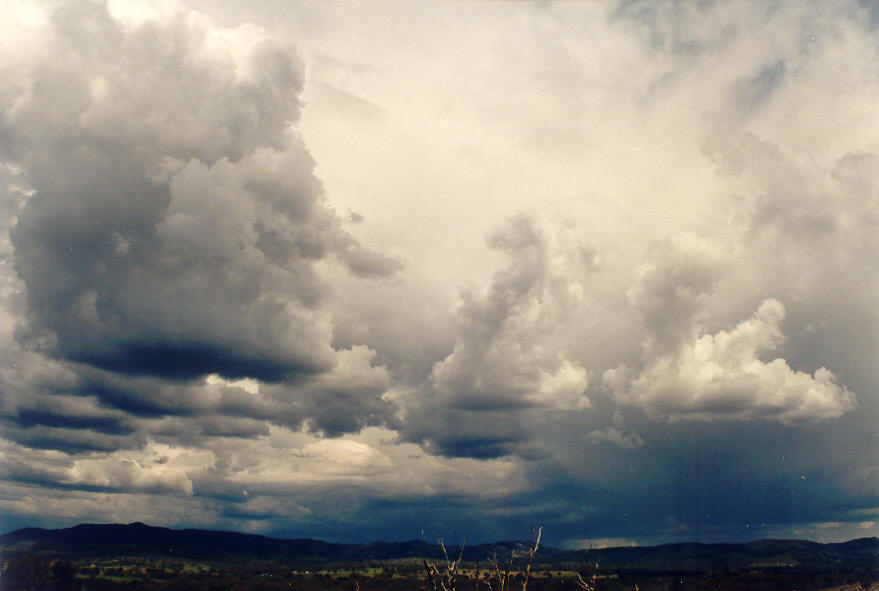 cumulus congestus : Tenterfield, NSW   16 March 2003